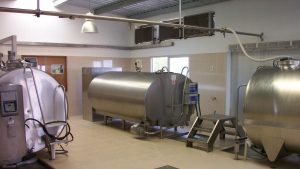Envío de leche desde tambos a industrias creció más del 10% en cada uno de los indicadores